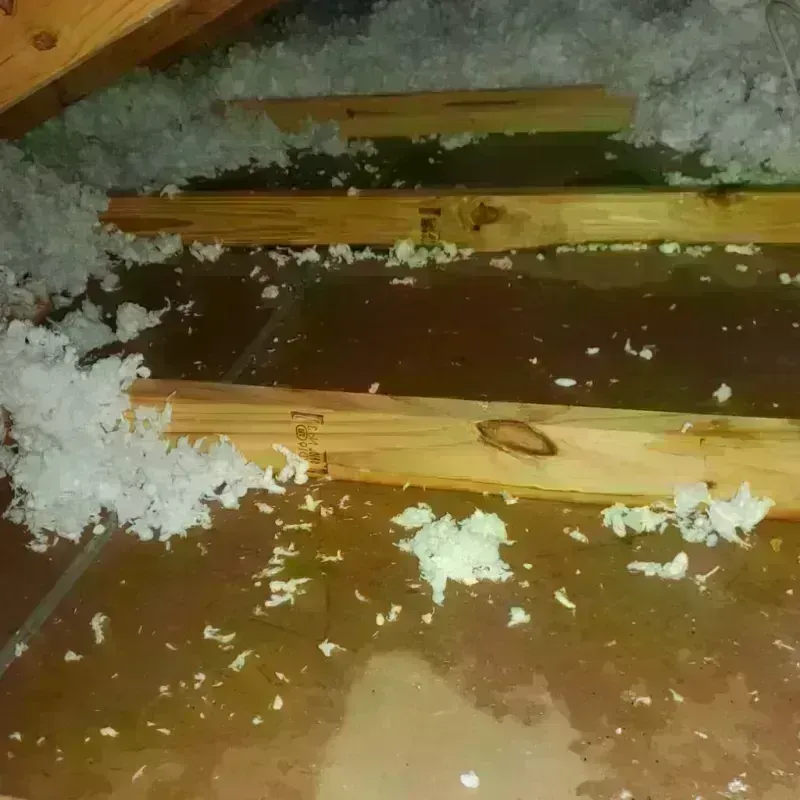 Attic Water Damage in Battle Creek, NE